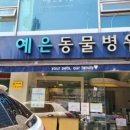 다사종합동물병원 네이버블로그