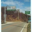 김순영 농장 | [스크랩] 백두대간 제13구간(우두령~궤방령) 산행기(04년04월11일 산행)