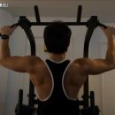 준피티