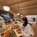 손담비 카카오 검색결과