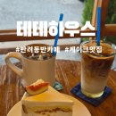 테테커피 | [공지] 원주 개운동 반려동반 내돈내산 테테하우스 후기