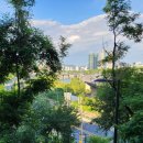 달맞이근린공원 이미지