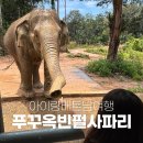 삼성중공업(주)C식당 | 푸꾸옥 빈펄 사파리 vip트램 말고 주트램 기린식당 사파리버스