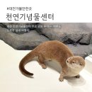 유등로 | 대전 가볼만한곳 천연기념물센터 ㅣ주차 무료입장 관람 후기