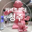 타이거릴리엔터테인먼트 | 커넥트 현대 청주 그랜드 오픈 방문 후기