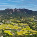 황매영농조합법인 이미지