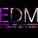 두근두근한 EDM 페스티벌의 분위기 (고화질 사진!!) 이미지