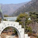 가야산식품 이미지