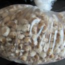 서해선구사 이미지