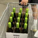 열두바구니 | JUN JUL AUG SEP/2025 - 무더운 여름이 지나가면