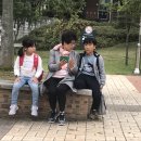 만대초등학교 이미지