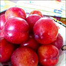 곤이농장 이미지