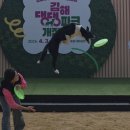 댕댕 쉼터 | [김해 가볼만한곳] 김해댕댕파크 정식 개장!