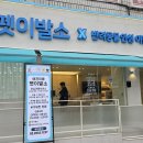 대형견 이발소 이미지