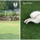 인천개공원 카페 이미지