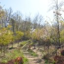 21C공인중개사사무소 이미지