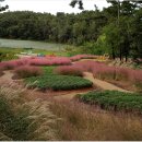 신흥근린공원 이미지