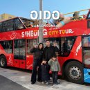 (테마투어)생태투어 | 오이도 시흥 시티투어 2층버스 후기 (앞자리 사수, 조기탑승, 주차 꿀팁 총정리)