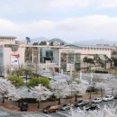 하모니-풍경 이미지