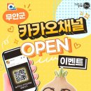 무안군청 이미지