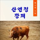 산앤청 깡패 / 예시원 시집 (전자책) 이미지