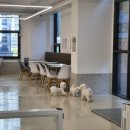 도그베이 미사점 이미지