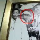 조선스칼프 네이버블로그