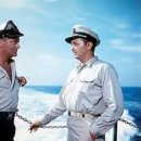 스토리(A) 이미지