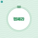 에스비피부과의원 | 발산역 텐쎄라 피부과 효과 궁금해 핵심 정보만 쏙쏙