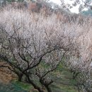 지암농장 이미지