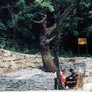 수목원약수터 이미지