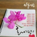 바르체 용인대 태권도장 | 남양주시 호평동 고구마카센터 디지인윤디 상담 후기