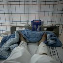 세브란스동물병원 | 둘째를 만나러- (원주세브란스 출산후기2)