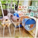 덕유산펜션 이미지