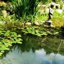 정례농장 이미지