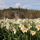 소리영어 상상영어 이미지