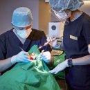 평촌심미치과의원 이미지