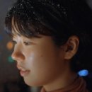 스타일펫츠 이미지