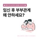 임산부 임신 중후 부부관계 잠자리 가능해요? 극초기 중기 후기 별 이렇게!