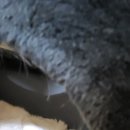 희진카센타 이미지