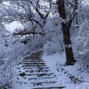 우장산근린공원 이미지