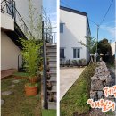 애월의아침 민박 이미지