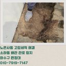 노온사동 365 이미지