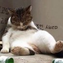 상봉전자 이미지