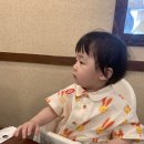 피노미나 이미지