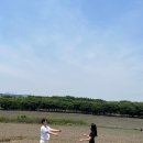 태진목장 | [당진 당일치기] #1 당진 “아그로랜드 태신목장” 솔직 후기 (난 별로), 아그로랜드 근처 맛집 “대들보”