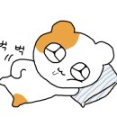 꿀떡 논현점 이미지
