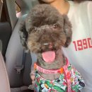 뷰나인아임파인 이미지