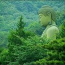 석서농원