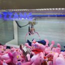 다뽑으리 이미지